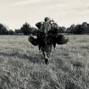 Meet your Posher, Joey